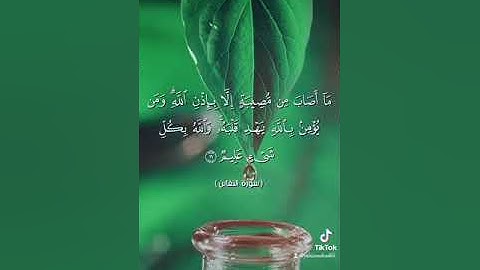 تلاوة عطرة لسورة التغابن كاملة للقارئ يحيى رشاد من تسجيلات صلاة التهجد