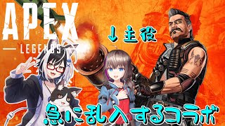 急に乱入するタイプのコラボ【 APEX Vtuber すとれいにゃんこ】