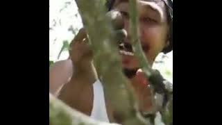 Lagu lucu untuk para you tube,Lagu Sukep nimang Tengkuyung
