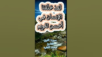 سورة التين للقارئ محمد الفقيه