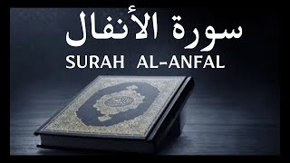 SURAH AL- ANFAL (Al Quran 08 surah ) BY Qari Fatih Seferagic