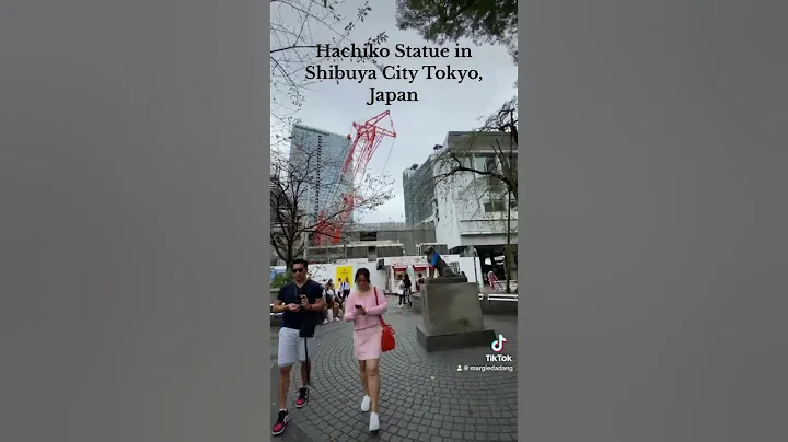 Hachiko Statue in Shibuya Tokyo, Japan 🤎