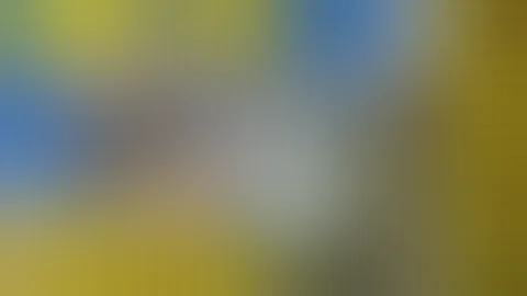 "The Perfect AR-15" by Nutnfancy