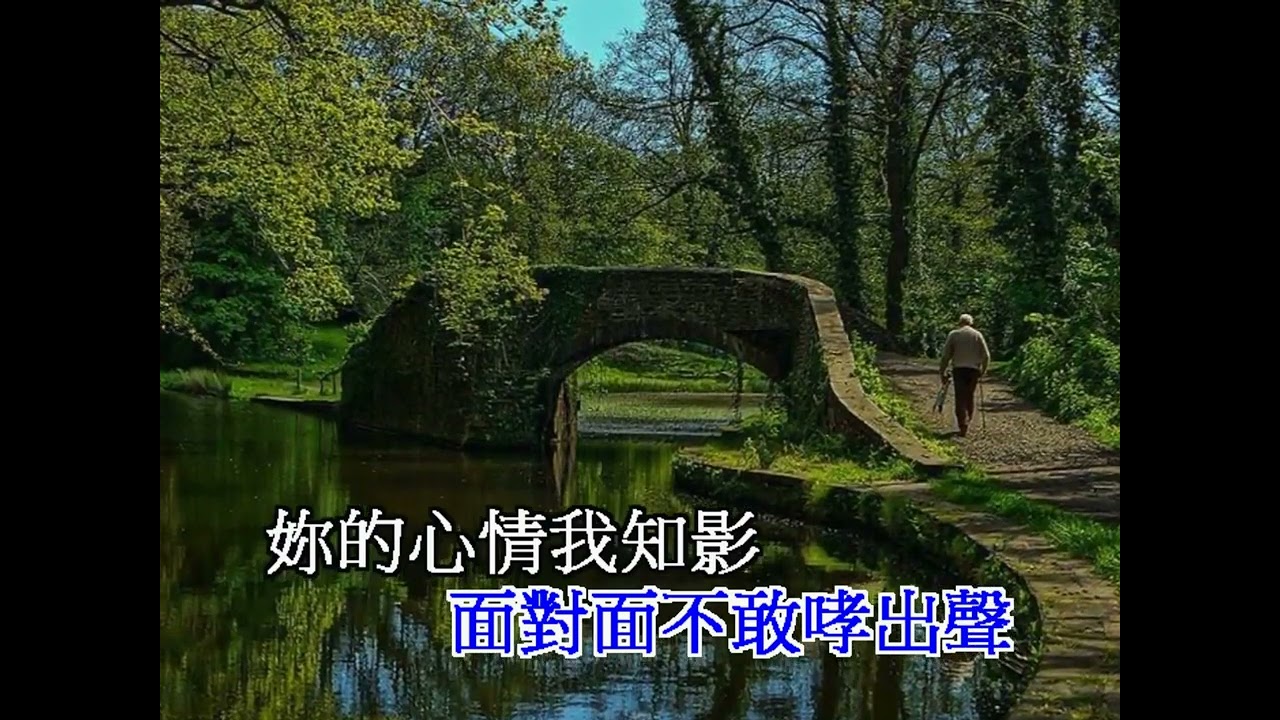 良一/愛在港岸 陳大元傳唱(音圓45399)