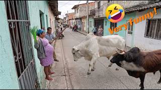 TRY NOT LAUGH 😆 Ultimate Dank Memes Compilation 2026 🤣 (Ep 10)