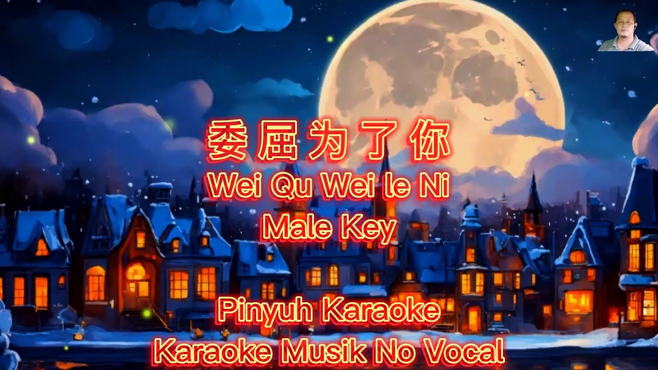 Wei Qu Wei Le Ni --  委屈为了你 --  Karaoke - Musik No Vocal