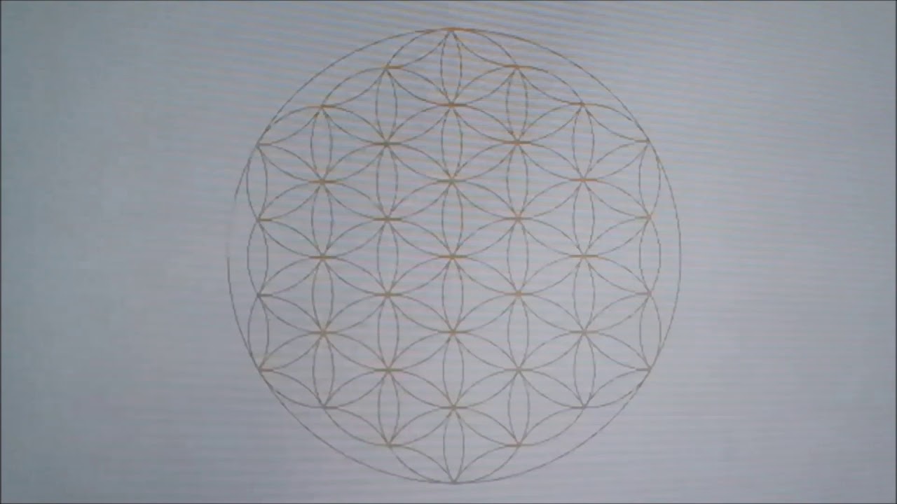 awazsraw | 2020 - c9