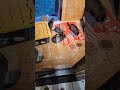 Lola's caregiver built an enclosure