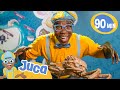 Juca Explora os Animais Aquáticos do Aquário! | 90 MINUTOS DO JUCA | Vídeos Educativos para Crianças
