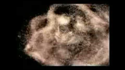 x8L00DxM4RL3Yx_-_D3v4st3d_H0riz0n=Th3_3nd_0f_4ny_Lif3_F0rm