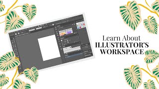 INTRODUCTION TO ILLUSTRATOR INTERFACE | Learn Illustrator