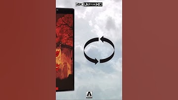 The House with Laughing Windows [Limited Edition 4K UHD & Blu-ray Editions U.S ONLY] #GIALLO #SHORTS