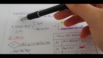 Tiêu hoá | Điều trị xuất huyết tiêu hoá trên