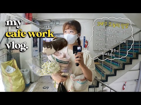 (ENG) 짧은 밀양 휴가,신메뉴 떠먹는 푸딩 4종 만들기,자취방에서 홈카페,길냥이들 밥주는 자영업자 일상_부산 디저트카페 vlog