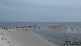 LONG BEACH MISSISSIPPI