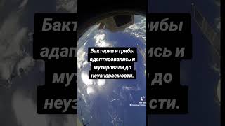 Возможно к земле приближается бактериологическая 🦠 бомба 💣