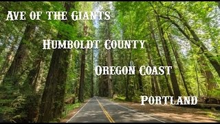 Motorcycle Trip (Ave of the Giants, Eureka, Coos Bay, Portland)