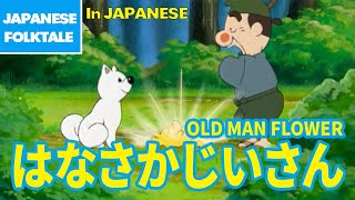 Folktales & Bedtime Stories | OLD MAN FLOWER / はなさかじいさん（In Japanese）