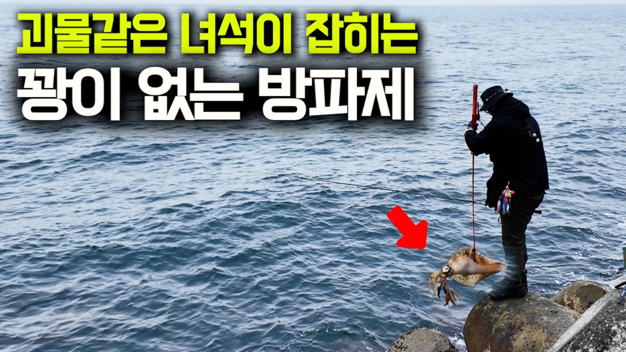 공항에서 5분거리, 꽝친적 없는 확률 높은 방파제 (박선비tv)