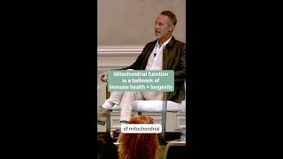 Mitochondrial Function is a hallmark of immune health + longevity