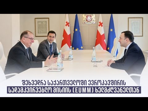 შეხვედრა საქართველოში ევროკავშირის სადამკვირვებლო მისიის (EUMM) ხელმძღვანელთან