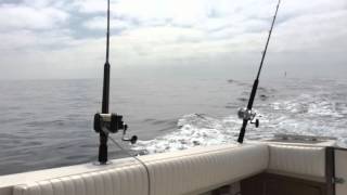 1987 Grady-White Sailfish 255 in San Diego, CA