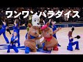 【ワンワンパラダイス】ワンワンワンダフルアリーナ@長崎