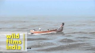 Boat ride on rolling sea waves - Neendakara, Kerala