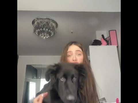 پست جدید سارا