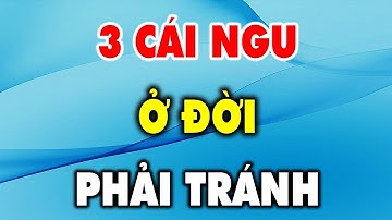 3 Cái Ngu Ở Đời Nên Tránh Càng Xa Càng Tốt - Triết Lý Cuộc Sống