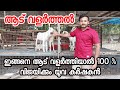    100    goat farming in keralagoat farming malayalam