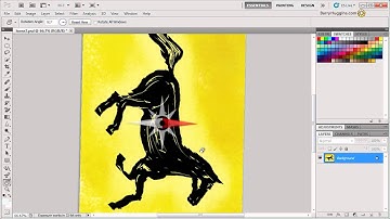 "Photoshop video quick tips"   Rotate view tool