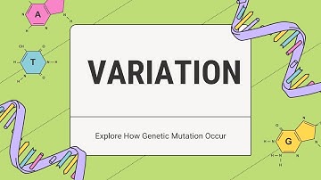 Variation Explained: How Mutation and Environmental factors Shape Diversity | Biospeaks