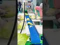 Complete Food Processing Solutions