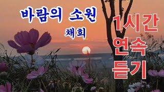 [노래]#바람의소원_채희명곡_연속듣기 #가사포함 #채희_바람의소원_1시간연속듣기 #명곡추천 #애절한노래 #감미로운노래 #감성자극 #인기곡 #Beautiful_Love_Song