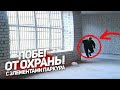 ДИКИЙ ПОБЕГ ОТ ОХРАНЫ И СТОРОЖЕВОЙ СОБАКИ С ЭЛЕМЕНТАМИ ПАРКУРА!!!