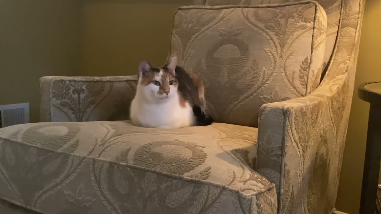 Botta Box Wine - Scott Jacobsen