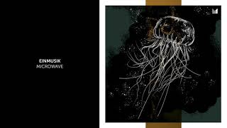 Einmusik - Microwave