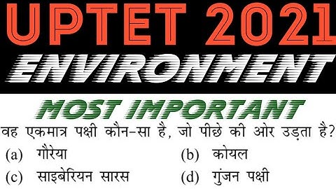 UPTET 2021 || Junior Super TET EVS Most Important Questions
