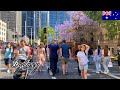 🇦🇺Sydney Spring Walk - CBD | Pitt Street | Market Street - 【4K 60fps】