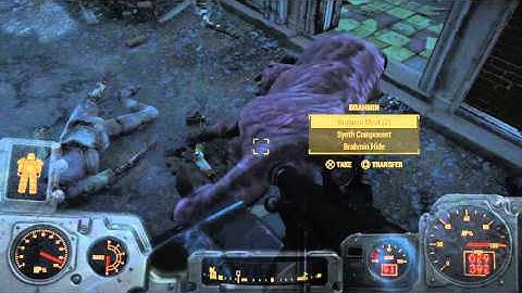 Fallout 4 Synth Brahmin? Why ?