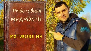 Запись семинара с ихтиологом.