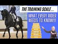 SCALES OF TRAINING - 6 WAYS TO SUCCEED IN DRESSAGE -  (PART 1) | DMA TV EP 341