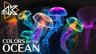 The Colors of the Ocean (4K ULTRA HD)  The Best 4K Sea Animals for Relaxation & Calming Music #16