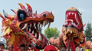 Pentas Seni Liong Jawa pita boga sendangsari dalm rangka HUT RI KE 80 di lapangan desa sendangsari