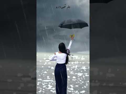 سیاوش قمیشی بارون عشق   سیاوش قمیشی 