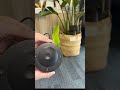 Driveway alarm