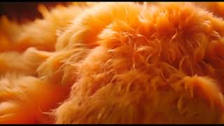 Soft and warm: cross-modal music and visuals