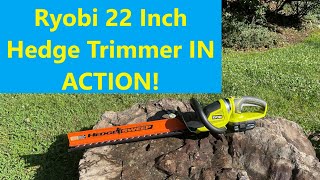 Ryobi 22 Inch Batttery Hedge Trimmer P2606 IN ACTION! Profile