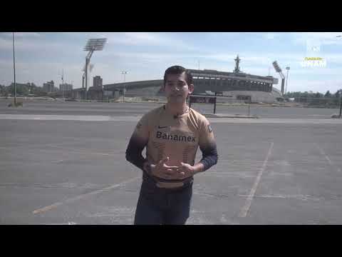 Testimonio Christopher González Arellanes